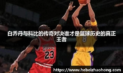 333官方网站体育